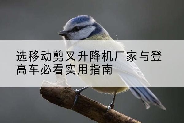 红塔电动升降机厂家-选移动剪叉升降机厂家与登高车必看实用指南