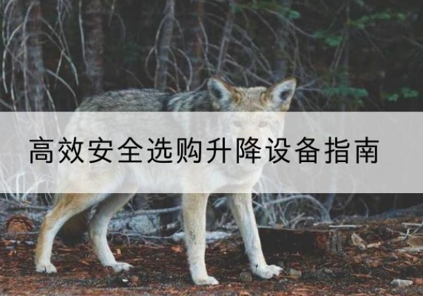 红塔升降货梯厂家推荐-*安全选购升降设备指南