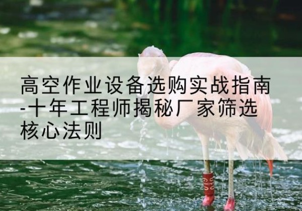 红塔剪叉式升降机厂家-高空作业设备选购实战指南-十年工程师揭秘厂家筛选核心法则